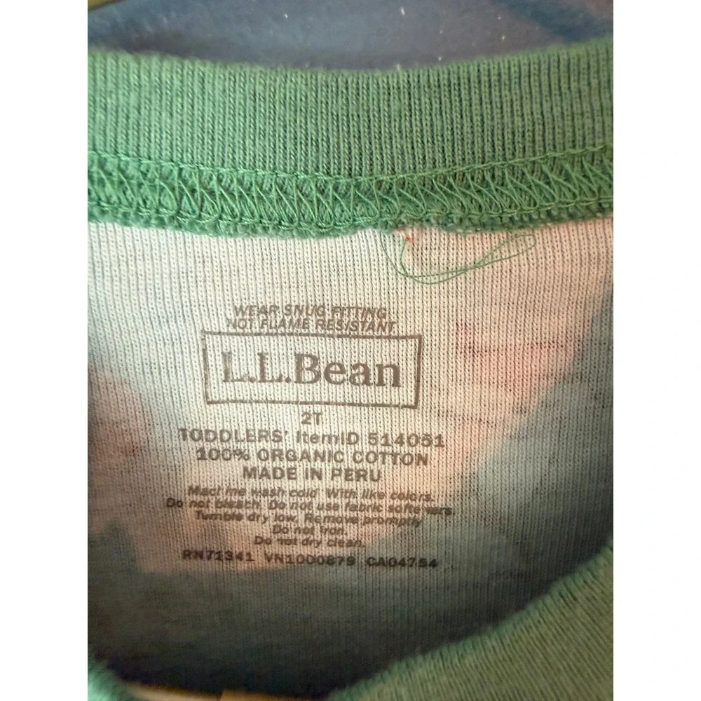 LL Bean Toddlers 2T Organic Cotton Fox Print Pajama Set Green